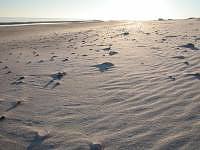 St. George Island State Park