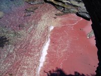 Red beach at Praia do Forno - Oven Beach, Búzios, Brazil