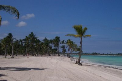 Cap Cana at Punta Cana Beach - Dominican Republic