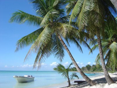 Saona Island - Dominican Republic
