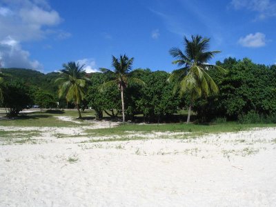Brewer's Bay Beach - St. Thomas USVI