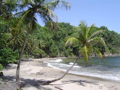 La Sagesse Beach - Grenada
