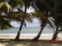 La Sagesse Beach - Grenada - Plush greenery!