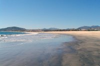 Estuary - Playa Hotelera - San Jose del Cabo