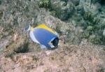 Anse Lazio, Praslin - Seychelles Anse Lazio, Praslin - Seychelles