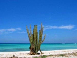 Arashi Beach Aruba Arashi Beach Aruba