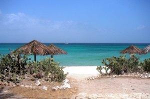 Arashi Beach Aruba Arashi Beach Aruba