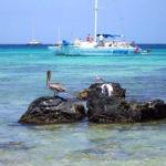 Arashi Beach Aruba Snorkeling Arashi Beach Aruba Snorkeling