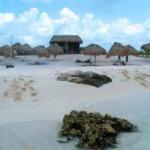 Playa San Juan, Cozumel Playa San Juan, Cozumel