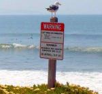 Jeffreys Bay, South Africa - Surfers' Heaven