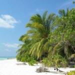 Maldives Best Beach - Veligandu Island Maldives Best Beach - Veligandu Island