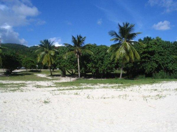 Brewers Bay Beach St Thomas