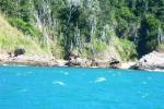 Praia das Virgens - Virgin Beach Buzios