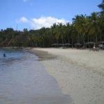 Water Island Honeymoon Beach St John