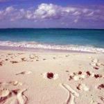 Beaches of Abacos Bahamas Beaches of Abacos Bahamas