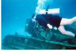 Best Beaches of Andros, Bahamas Best Beaches of Andros, Bahamas
