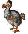 The Dodo Bird of Mauritius