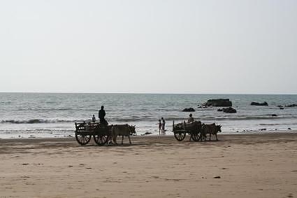 carts on the beach chaung tha