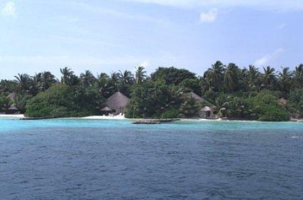 nika island 06480