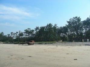 Tarkarli Beach
