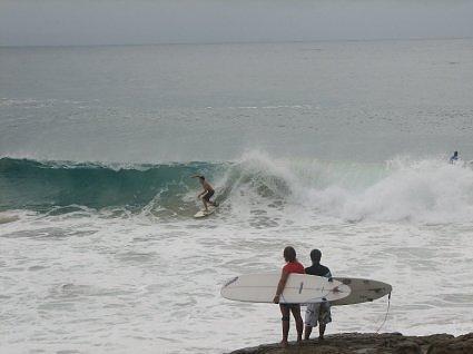 noosa heads 037