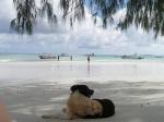 Beau Vallon Bay Seychelles