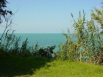 mare e verde