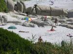 Sandy Bay Beach, Cape Town, South Africa Sandy Bay Beach, Cape Town, South Africa