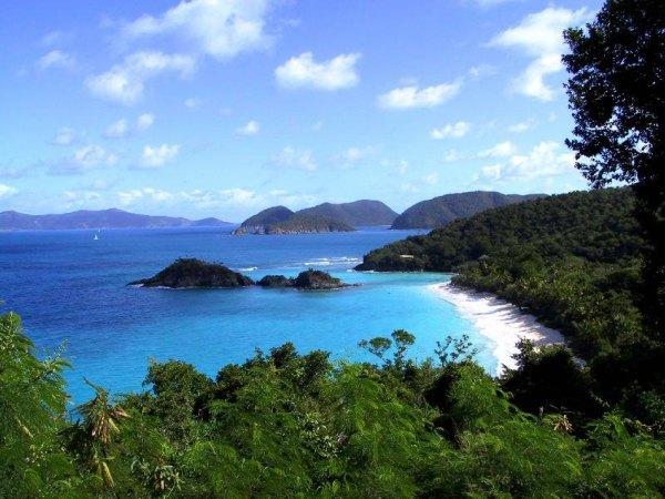 Trunk Bay St John USVI