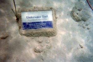 Underwater Snorkel Trail Trunk Bay St John USVI