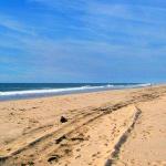 Main Beach in East Hampton, New York Main Beach in East Hampton, New York