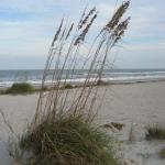 Amelia Island Plantation