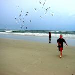 Huguenot Park Beach, Fort George Island Huguenot Park Beach, Fort George Island