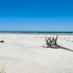 Best Beach on Big and Little Talbot Island State Park Best Beach on Big and Little Talbot Island State Park