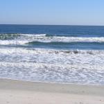 Usina Beach, South Ponte Vedra Beach, Florida Usina Beach, South Ponte Vedra Beach, Florida