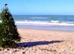 Christmas on the Beach Christmas on the Beach