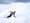Best Snow Ski Resorts