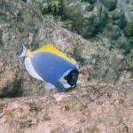 Anse Lazio Praslin Seychelles Anse Lazio Praslin Seychelles