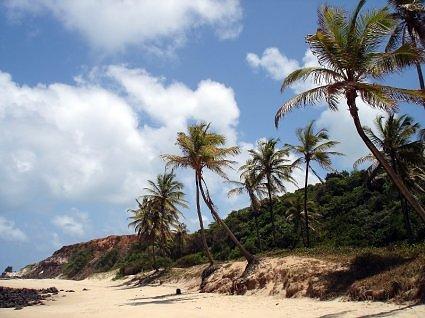 PIPA / BRAZIL - RN