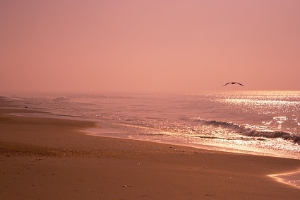 St. George Island State Park, Florida Panhandle